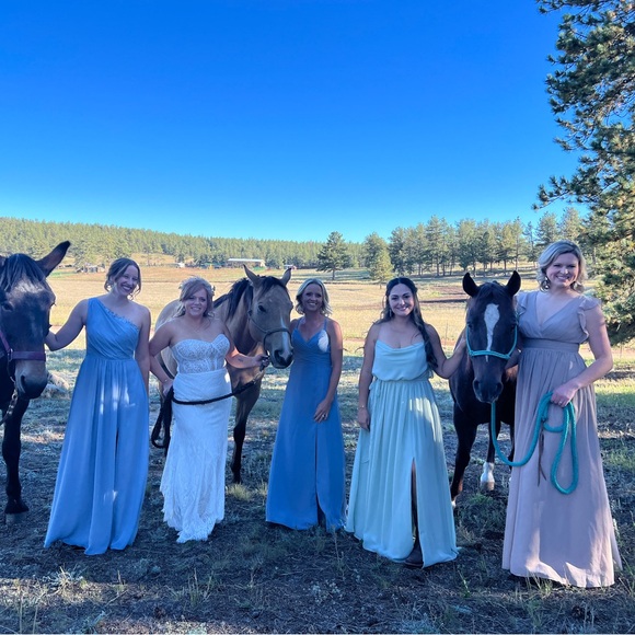 JJs House Sage Green Formal Dress Size 14 - Picture 15 of 16